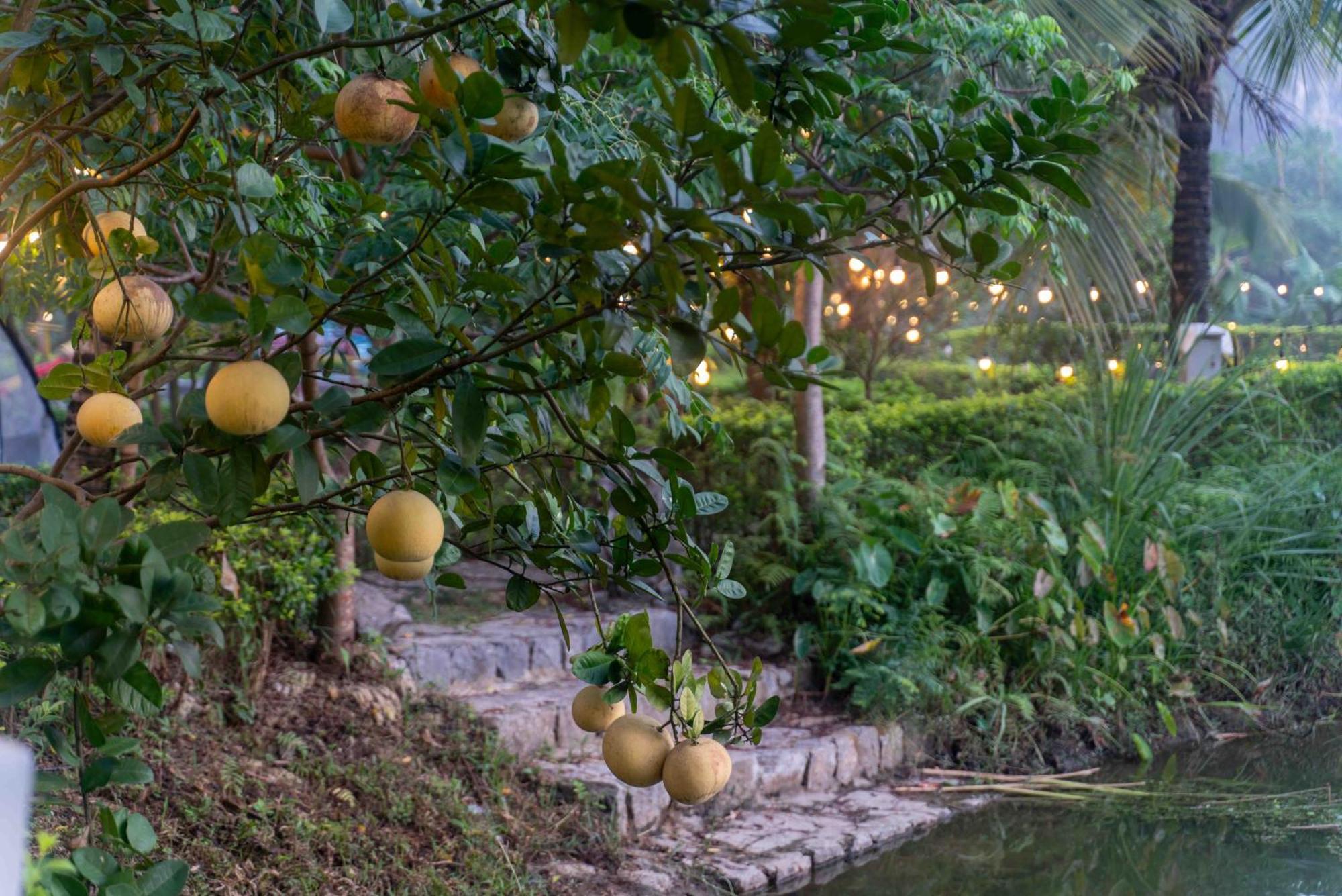 The Goat Boutique Resort Ninh Binh Zewnętrze zdjęcie